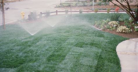 Watering Guidelines For New Sod Quality Turf Sod Farm