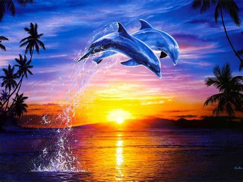 Dolphin Love Ocean Dusk Sky Palm Trees Heat Photos Cantik