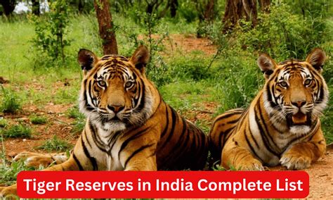 Tiger Reserves In India Complete List And Importance