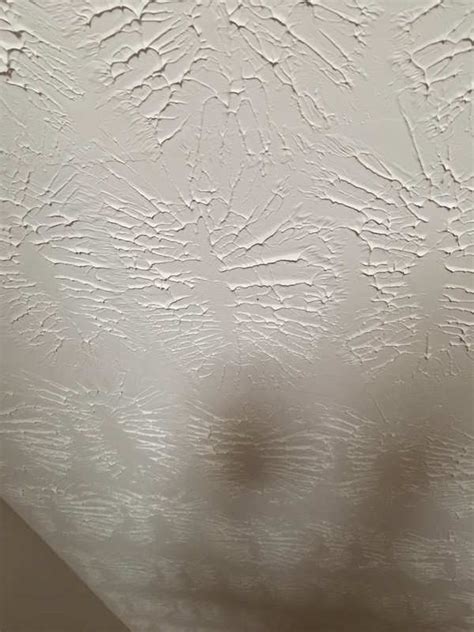 Stomp Textured Ceiling Paint Shelly Lighting