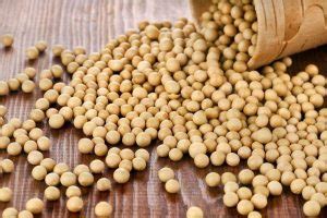 Kacang tanah ini dapat di olah menjadi berbagai makanan. Kedelai: Manfaat, Efek Samping dan Cara Konsumsi - IDN Medis