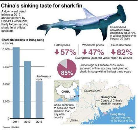 Tide Turns For Shark Fin In China