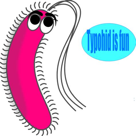 Funny Germs Cliparts Gram Positive Bacteria Cartoon Png Download
