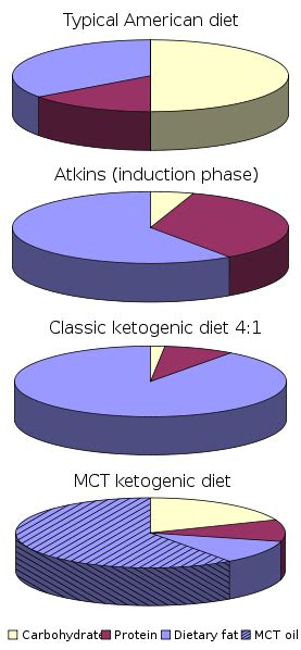 Seperti yang telah saya katakan tadi, belajar tentang apa itu diet atkins. Apa itu Diet Keto & Bagaimana Melakukannya? - WhiteCoatHunter