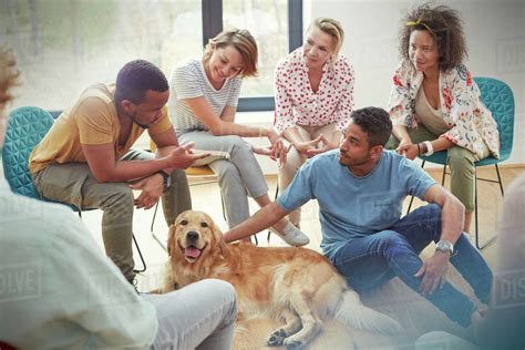 People Petting Dog In Group Therapy Session Stock Photo Dissolve