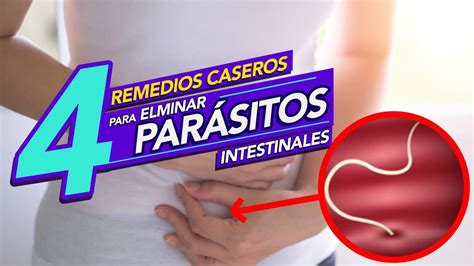 Remedios naturales para eliminar parásitos intestinales YouTube
