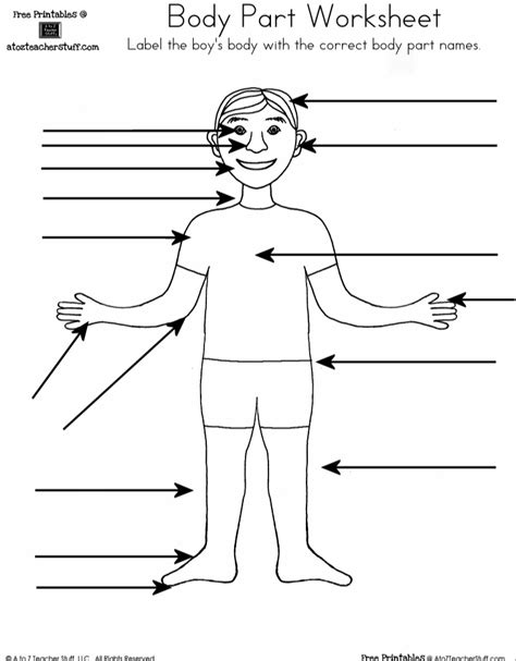Blank Body Diagram