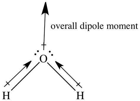 In A Sketch Of The Bent Watermolecule The Head Of The Two Bond Dipole