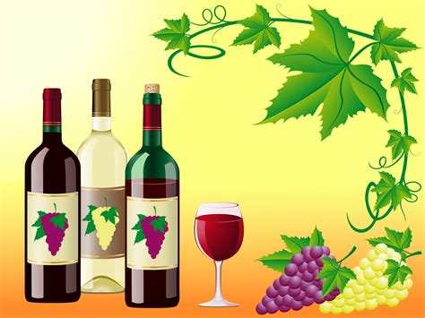 Wine Is Red White With A Grapes And Decorative Pattern Of Leaves 494581