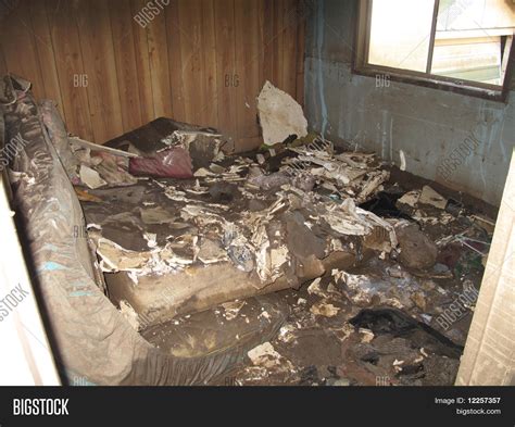 Flood Damaged Bedroom Image And Photo Free Trial Bigstock
