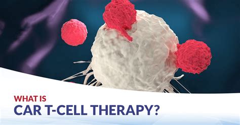 Car T Cell Therapy Cfch Centre For Clinical Haematology