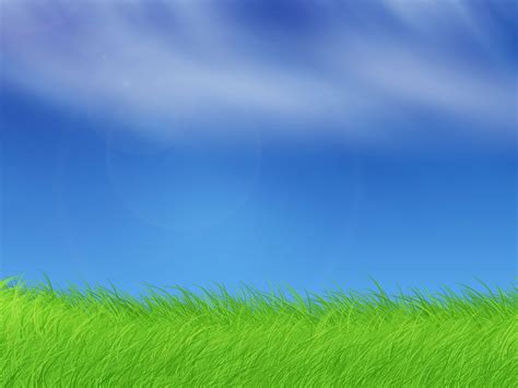 Grass Background Wallpaper 1600x1200 53337