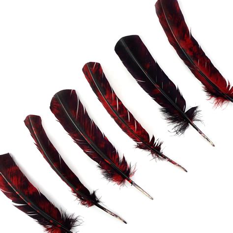 25pcpkg Red And Black Tie Dyed Turkey Quill Value Pack For Arts And