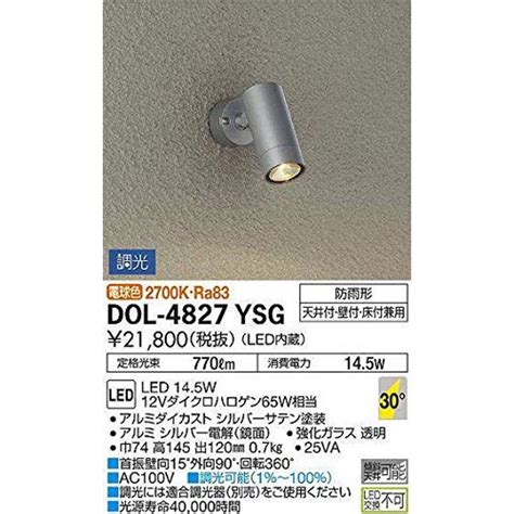 大光電機 DAIKO アウトドアスポット LED内蔵 LED 14 5W 電球色 2700K DOL 4827YSG シルバー