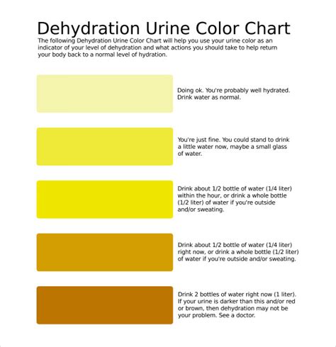 Free 8 Sample Urine Color Chart Templates In Pdf Ms Word