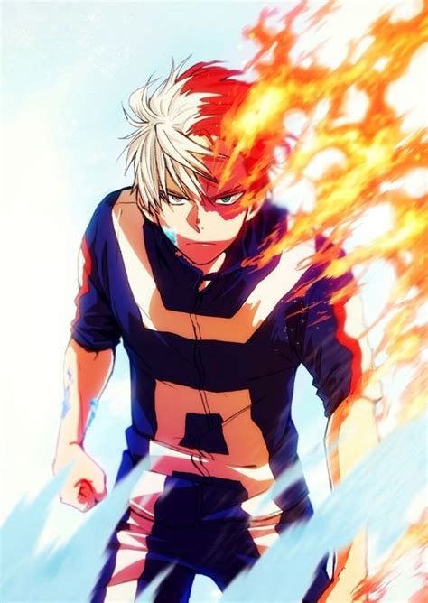 Shoto Todoroki Half Cold Half Hot Furrazdestine