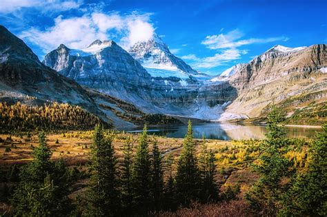 Mount Assiniboine In Autumn Forest Fall Grass Bonito Trees Clouds