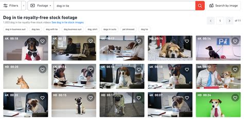 How Power Users Find The Best Stock Footage Shutterstock