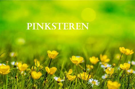 Pinksteren of sinksen is een christelijke feestdag, waarmee de uitstorting van de heilige geest wordt herdacht. Pinksteren 2017 evenementen uitjes festivals - tipsvoorjou.com