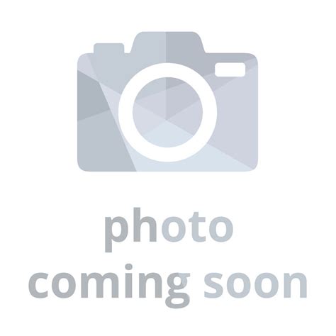 Maine Lobster Prices Today - [100% Verified]