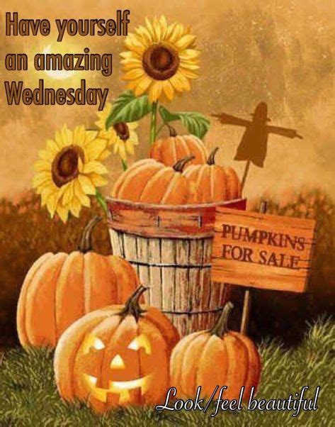 Happy Wednesday 🎃🌻🎃 Pumpkins For Sale Pumpkin Harvest Thanksgiving