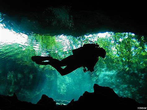 Cenote Diving Excursion And Tour With Dressel Divers