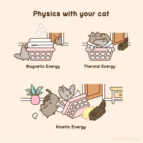 Physics With Your Cat Pusheen Cute Pusheen Cat Pusheen