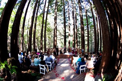 Amphitheatre Of The Redwoods Wedding And Events Venue Santa Cruz Ca Redwood Wedding Venue