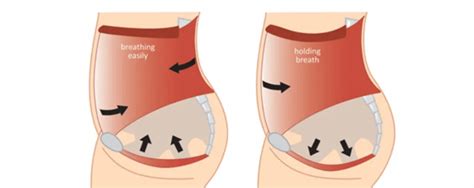 Breathing Pelvic Floor They Re Connected Easthill Physiotherapy