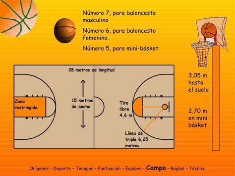 Descubrir 72 Imagen Reglas De Basquetbol Con Imagenes Abzlocalmx