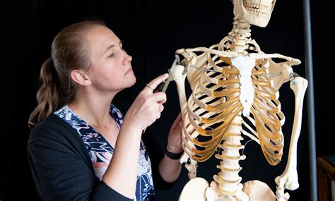Science Pub Sexing The Skeleton Nuancing Gender In Archaeology The Santa Barbara Independent