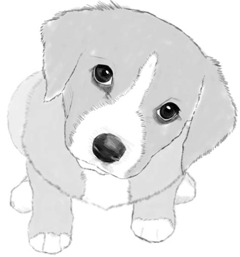 How To Draw A Dog Or Puppy Realistic Easy Step By Step Drawing