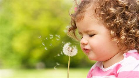 Cute Girl Baby Is Playing With Dandelion Wearing Pink