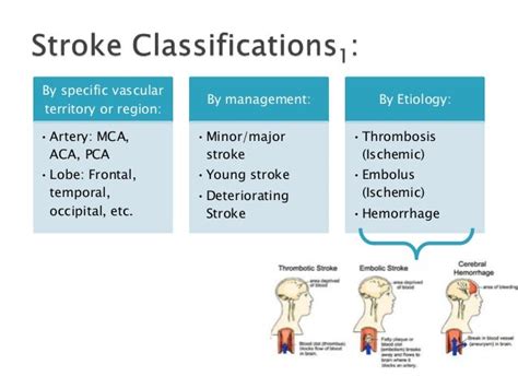 Stroke Types Ischemic Versus Hemorrhagic