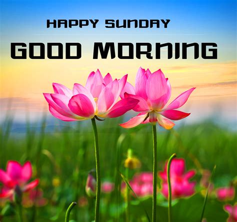 Good Morning Happy Sunday Hd Images Printable Template Calendar