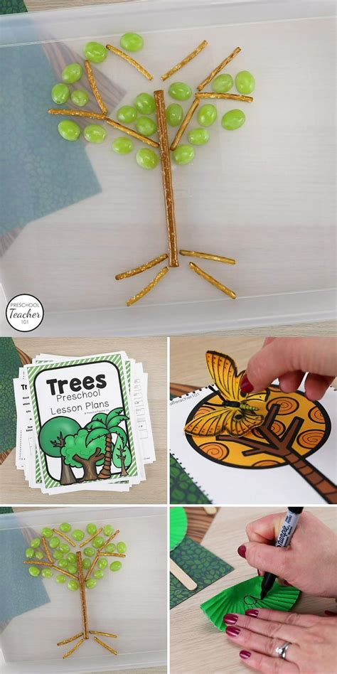 Tree Theme Preschool Activities