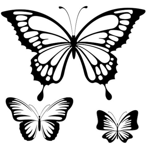 Kumpulan gambar kartun kupu kupu hitam putih himpun kartun. Gambar Sketsa Kupu Kupu Paling Lengkap - Iseng Nulis