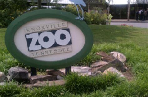 33 Reptiles Found Dead At Knoxville Zoo News