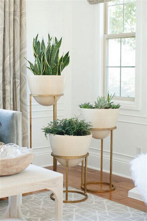 Gorgeous Indoor Planters You Will Fall In Love With
