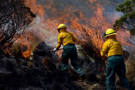 Continúan Incendios Forestales En México 18 Han Sido Liquidados Video 24 Horas