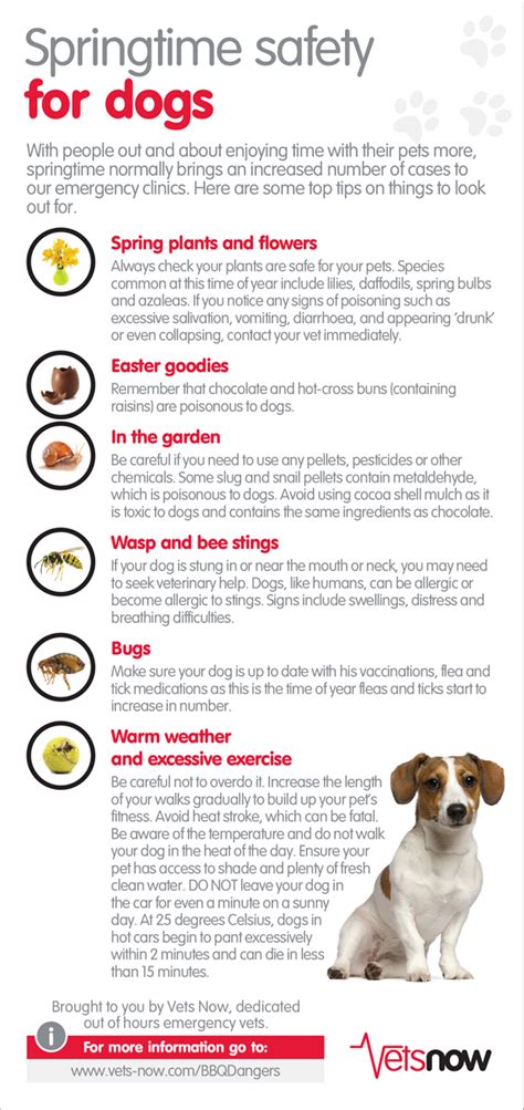 Infographic Springtime Safety For Dogs Pet Care Tips Dog Safe Dog