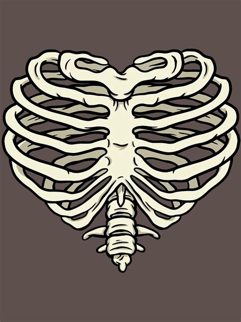 Illustration Of A Heart Shaped Rib Cage T Shirt By Younux Redbubble