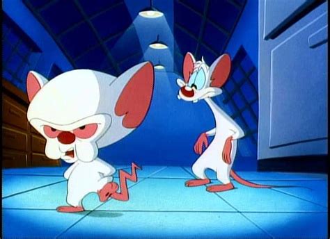 Garry Walkers Blog Pinky And The Brain Quotes