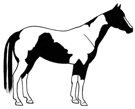 Paint Horse Clip Art