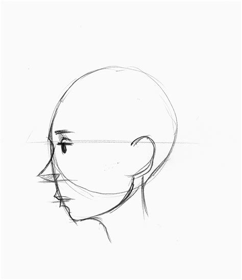 Brett Helquist Drawing Lesson How To Draw A Face In Profile