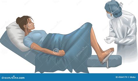 gynecologist stock illustration illustration of gynecology 4564179