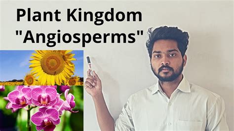 Plant Kingdom Angiosperms Biology Class 11 Youtube