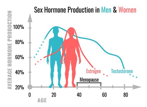 Testosterone Levels By Age Chart Female