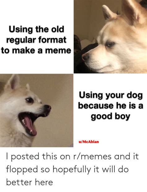 Using The Old Regular Format To Make A Meme Using Your Dog Because He