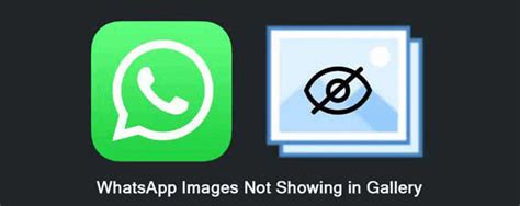 Whatsapp Images Not Showing In Gallery Heres The Solution